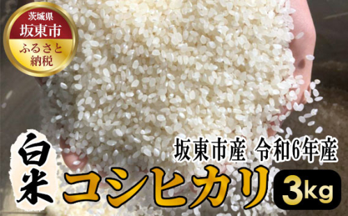 No.387 白米　コシヒカリ3kg【令和6年産】 ／ おこめ こしひかり はくまい 茨城県 1047023 - 茨城県坂東市