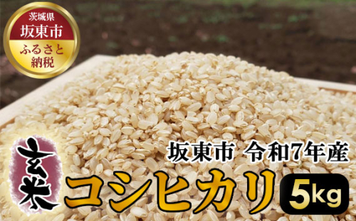 No.388 玄米　コシヒカリ5kg【令和7年産】 ／ おこめ こしひかり げんまい 茨城県 1047024 - 茨城県坂東市
