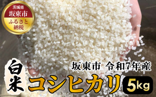 No.391 白米　コシヒカリ5kg【令和7年産】 ／ おこめ こしひかり はくまい 茨城県 1047027 - 茨城県坂東市