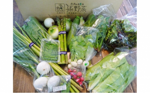 安芸高田市の小さな農家お届けするふるさと旬野菜セット 10470 - 広島県安芸高田市