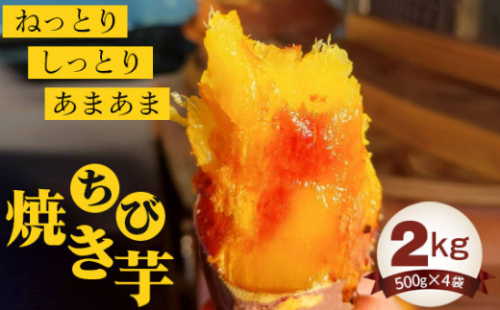 No.405 ちび焼き芋2kg ／ 紅はるか やきいも さつまいも 茨城県 1047147 - 茨城県坂東市