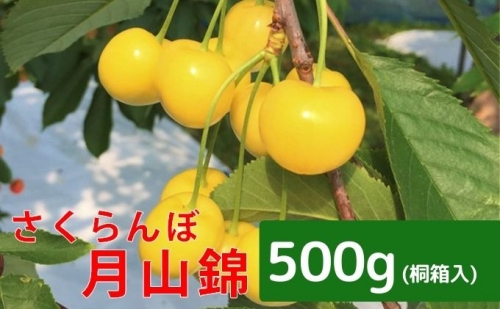 令和3年・峠のふもと紅果園のさくらんぼ【月山錦】一段並べ 350g