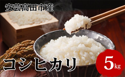米 令和7年産　広島県安芸高田市産コシヒカリ5kg 精米／コシヒカリ こめ こしひかり  10472 - 広島県安芸高田市