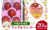 【2024年発送】沖縄県糸満産の「濃厚アップルマンゴー」20kg！(2kg×10箱）生産者：ゆいぐくるマンゴー