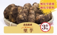 生命の農法（無化学農薬・無化学肥料栽培） 里芋 （約3kg）|  野菜 根菜 奈良県 五條市