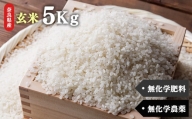 生命の農法（無化学農薬・無化学肥料栽培）お米（5kg）玄米