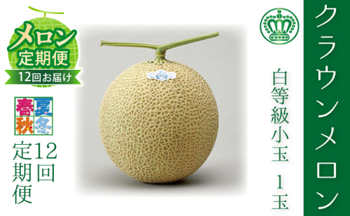 【メロン定期便】クラウンメロン（白等級） 小玉　1玉入【12か月連続】 果物類 メロン青肉  104776 - 静岡県森町