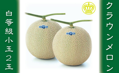 クラウンメロン 白等級 小玉 2玉詰 メロン 青肉 マスクメロン フルーツ 果物 青肉メロン 高級 高級メロン 静岡 森町 104778 - 静岡県森町