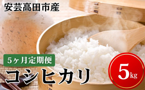 米 【5ヶ月お届け】令和7年産　安芸高田市産コシヒカリ5kg 精米／コシヒカリ こめ こしひかり 定期便  10477 - 広島県安芸高田市