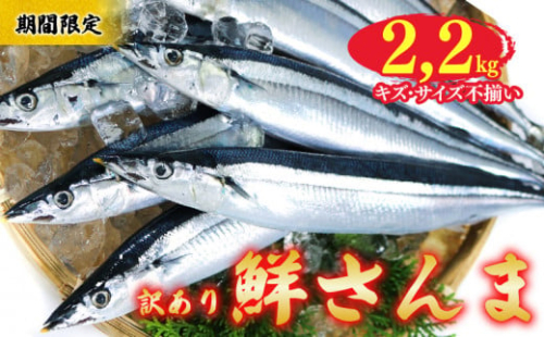 【期間限定】訳あり 鮮さんま 約2.2kg 冷蔵