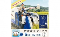 【3か月定期便】佐渡島産コシヒカリ 白米5Kg 令和5年産 特別栽培米