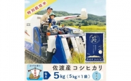 【3か月定期便】佐渡島産コシヒカリ 無洗米5Kg 令和5年産 特別栽培米