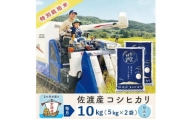 【3か月定期便】佐渡島産コシヒカリ 無洗米10Kg 令和5年産 特別栽培米