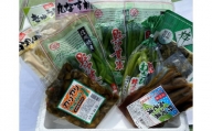 信州の味　野沢菜と漬物セット9種類11袋(H-1.2)