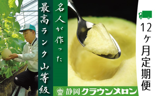 メロン 定期便 12ヶ月 クラウンメロン 山等級 名人 1玉 フルーツ 果物 高級フルーツ フルーツ定期便 マスクメロン 青肉 静岡メロン 静岡県 浜松市 12回 定期 104998 - 静岡県浜松市