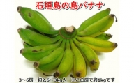 【5月上旬より順次発送】石垣島の島バナナ、3～6房（約2,6～3kg前後入り）爽やか酸味のスッキリ系バナナ、少し冷やしてもイイんです！　SI-34　