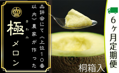 クラウンメロン　極み×1玉　桐箱【６ヶ月定期便】【配送不可：離島】 果物類 メロン青肉  105006 - 静岡県浜松市