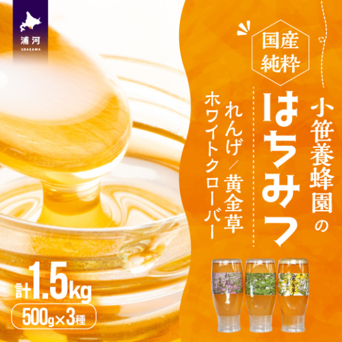 国産純粋完熟はちみつ3種セット(れんげ・ホワイトクローバー・黄金草)ご家庭用計1.5kg[16-1320] 1050334 - 北海道浦河町