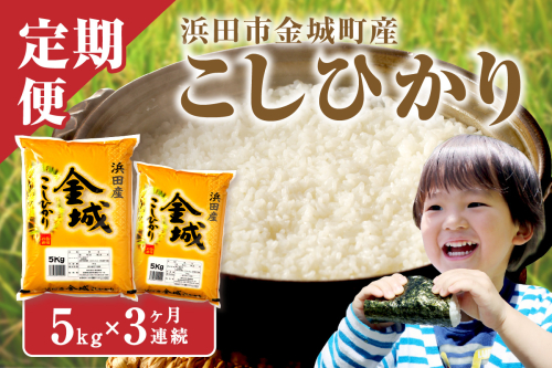 【令和6年産】【定期便】浜田市金城町産「こしひかり」（5kg×3回コース） 定期便 3回 お取り寄せ 特産 お米 精米 白米 ごはん ご飯 コメ 新生活 応援 準備 【613】 1050863 - 島根県浜田市