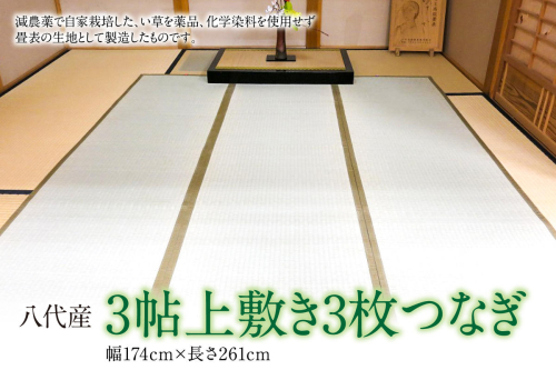 い草 上敷き 江戸間 3帖3枚つなぎ 幅174cm×長さ261cm イグサ 畳 敷物 ござ マット カーペット 熊本県 八代市 特産品 国産 日本製 1050909 - 熊本県八代市