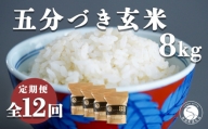 K150-3 【白米に近い玄米 12回定期便】ひのひかり 新食感 五分づき 玄米 8kg (2kg×4袋) 12回 定期便 棚田米 西山食糧