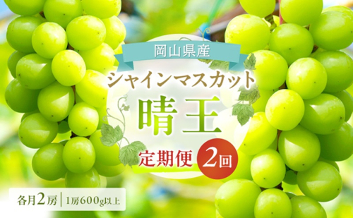 ぶどう 定期便 2026年 先行予約 シャイン マスカット 晴王 各月2房（1房600g以上） 2回コース マスカット ブドウ 葡萄  岡山県産 国産 フルーツ 果物 ギフト 上品な香り 最高級 大粒 種なし  1051185 - 岡山県玉野市