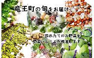 【定期便】道の駅 竜王 かがみの里 旬の野菜セット 全3回