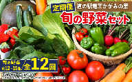 【定期便】道の駅 竜王 かがみの里 旬の野菜セット 全12回