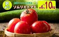 大玉 訳あり ソムリエトマト 約 6kg ～ 10kg (約3kg～5kg × 2箱) | 野菜 やさい トマト とまと 銀賞 熊本県 玉名市