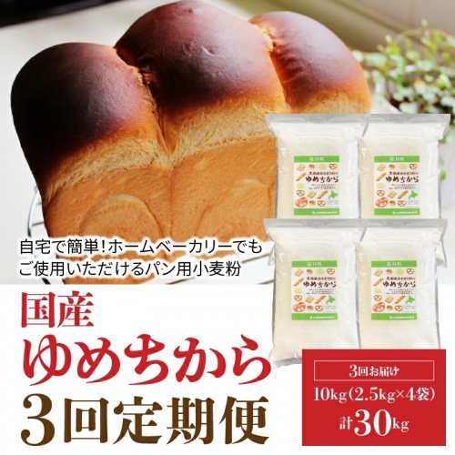 パン用小麦粉 北海道産ゆめちから 10kg(2.5kg×4袋) 定期便3回　H008-087