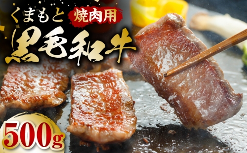 くまもと黒毛和牛 焼肉用 500g 牛肉 やきにく 1051897 - 熊本県八代市