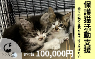 【お礼の品なし】保護猫活動支援〜野良猫から地域で見守るさくら猫に〜 寄付額100,000円