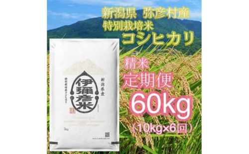 ＜毎月定期便＞特別栽培米コシヒカリ「伊彌彦米」10kg全6回【4002774】
