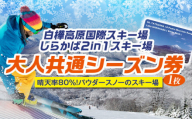 白樺高原国際スキー場・しらかば２in１スキー場大人共通シーズン券