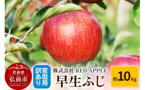 【25年10月発送】りんご【訳あり】家庭用 早生ふじ 約10kg 1052492 - 青森県弘前市