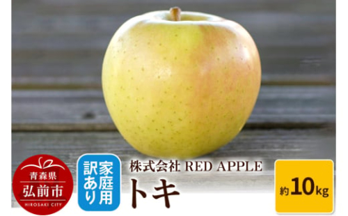 【25年10月~発送】りんご【訳あり】家庭用 トキ 約10kg 1052499 - 青森県弘前市