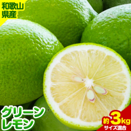 商品情報：【先行予約】【産直】和歌山産グリーンレモン約3kg（サイズ混合） 名称：グリーンレモン 内容量：1箱約3kg(大・中・小サイズ混合) 産地：和歌山県海南市 保存方法：常温で保存してください。