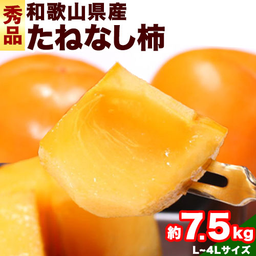 ◆先行予約◆和歌山産 たねなし 柿（L～4Lサイズおまかせ）約 7.5kg・秀品 厳選館《2025年10月上旬-11月中旬頃出荷》和歌山県 日高川町 柿 カキ かき ジューシー フルーツ たねなし 1052838 - 和歌山県日高川町