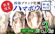 [着日指定可] 西海ブランド 牡蠣 「 ハマボウ 」 約3kg(30〜40個)(中〜大サイズ)[ハマフジ水産] 