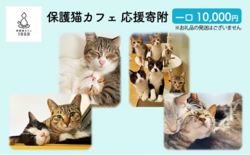 保護猫カフェへの寄附 【お礼品の発送はございません】一口10,000円