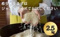 希少米 コタキホワイト 2.5kg（令和5年産）