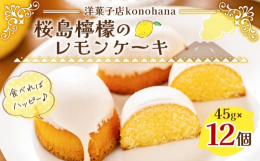 鹿児島のシンボル「桜島（洋菓子店konohanaの実家）」で育ったレモンを使用。さわやかな酸味を活かした懐かしくも新しいレモンケーキ。ケーキ店を始めて21年になります。果樹農家の両親がケーキ店には欠か