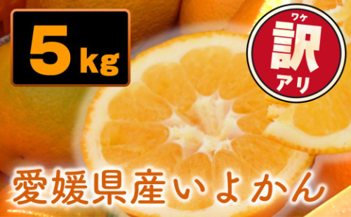 【先行予約】訳あり 愛媛県産 宮内いよかん 5kg | 【1月上旬～2月下旬発送】 宮内伊予柑 いよかん 蜜柑 伊予柑 わけあり 家庭用 柑橘 みかん ミカン mikan フルーツ 果物 かんきつ くだもの 甘い 甘み 酸味 ジューシー 果汁 果肉 秀品 数量限定 期間限定 旬 お取り寄せ グルメ みかん 産地直送 農家直送 国産 愛媛県 松山市