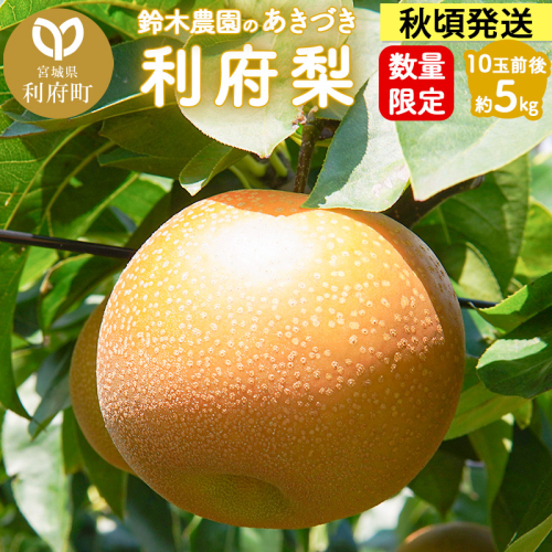 個数限定 利府梨（あきづき）5kg（10玉前後） 鈴木梨園 1054053 - 宮城県利府町