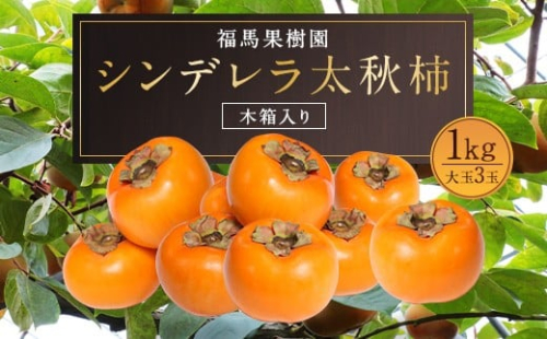 シンデレラ 太秋柿 木箱入り 大玉 3玉 約1kg 【2025年11月上旬～12月下旬発送予定】 1054182 - 熊本県益城町