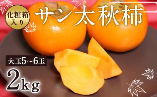 【2024年10月下旬～11月下旬発送予定】サン太秋柿 化粧箱入り 大玉 6玉 約2kg 1054187 - 熊本県益城町