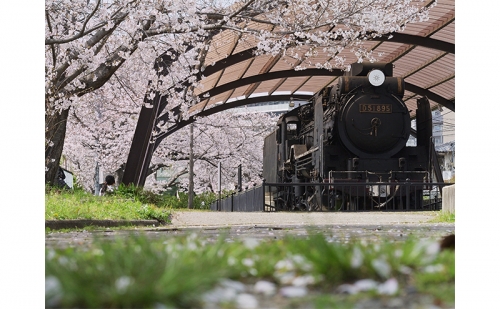 アートパネル　汽車と桜 1054229 - 奈良県王寺町