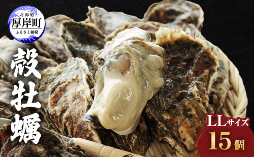 牡蠣 厚岸産殻牡蠣 LLサイズ 15個 セット 魚介類 産地直送 生牡蠣 オイスター 海の幸 海鮮 生食用 生食用牡蠣  1054306 - 北海道厚岸町