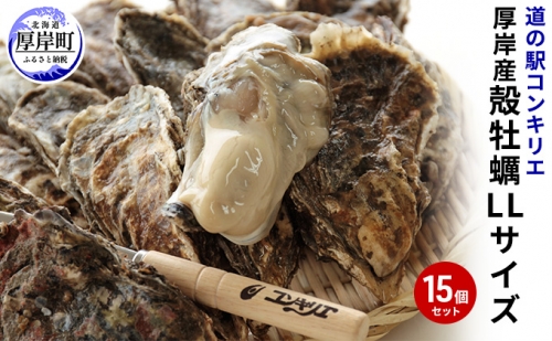 牡蠣 厚岸産殻牡蠣 LLサイズ 15個 セット 1054306 - 北海道厚岸町