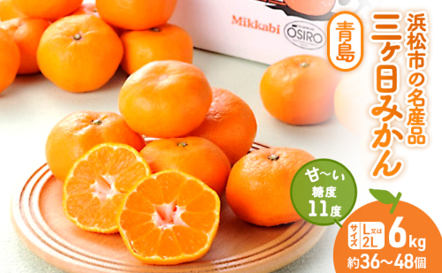 三ヶ日みかん 青島 6kg L～2L 青島みかん みかん 蜜柑 ミカン 果物 くだもの 旬のフルーツ 旬の果物 季節のフルーツ 季節の果物 柑橘 柑橘類 静岡 静岡県 浜松市 1054355 - 静岡県浜松市